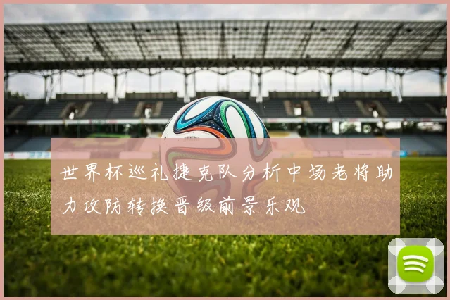 世界杯巡礼捷克队分析中场老将助力攻防转换晋级前景乐观